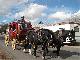 Tombstone, Arizona